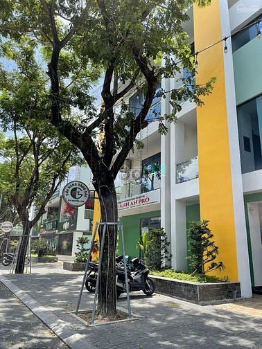 Hình ảnh chính chủ bán đất Golden hill 1ty8 120m2