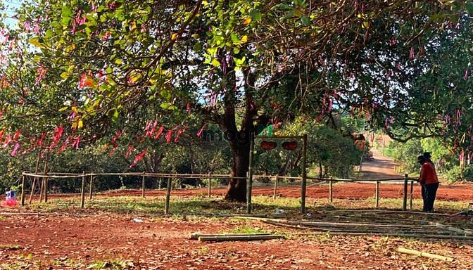 Hình ảnh Bán đất thổ cư huyện Thống Nhất - Đồng Nai chỉ 9tr/m2