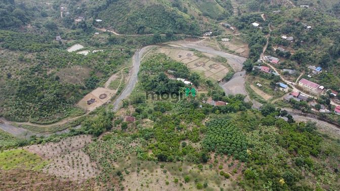 Hình ảnh Cao nguyên Mộc Châu bán mảnh đất 9000m2 có sổ đỏ ,giá ao bèo