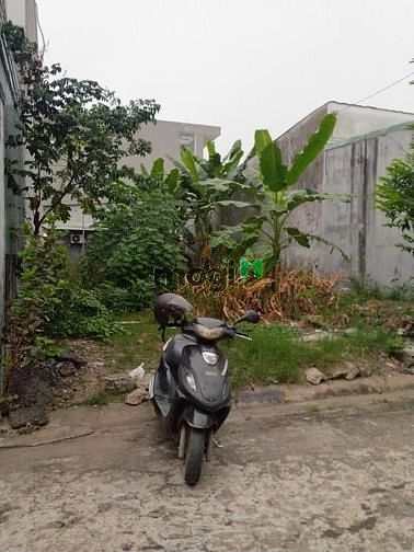 Hình ảnh Miếng đất đang cho anh họ thuê trồng chuối cần bán gấp ở Bùi Văn Hòa.