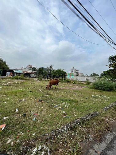 Hình ảnh Đất mặt tiền thích hợp phân lô 893m2 ful tc xuân thới thượng hm chỉ