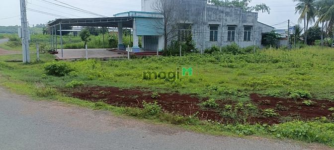 Hình ảnh đất thổ cư tt Dương Minh Châu Tây Ninh