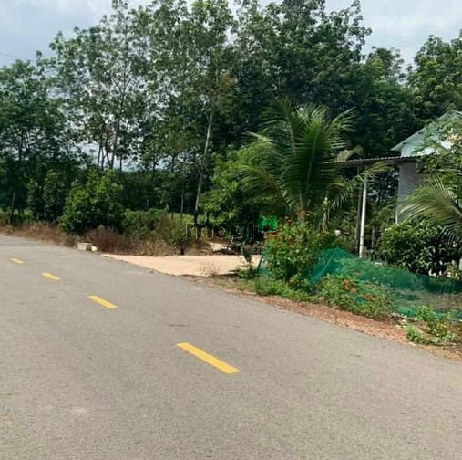 Hình ảnh Đất trung tâm Thị Trấn Dương Minh Châu-Tây Ninh