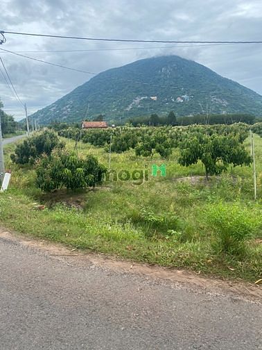 Hình ảnh đất thổ cư tt Dương Minh Châu Tây Ninh