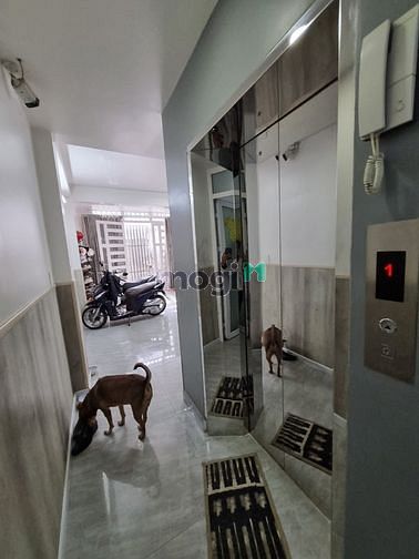Hình ảnh Chdv 6 tầng btct kcn tân bình 13 phòng thu nhập 60tr dt 83m2