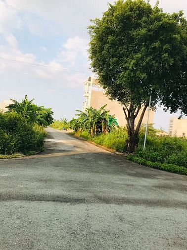 Hình ảnh Chuyên đất nền dự án khu dân cư Sở Văn Hóa Thông Tin Phú Hữu Q9
