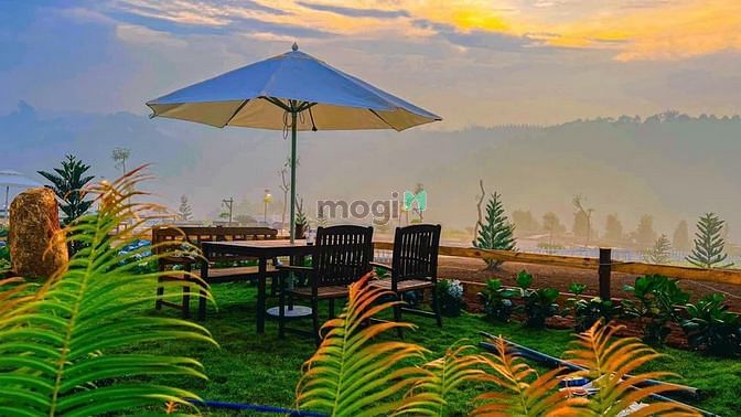 Hình ảnh Mua đất tặng ngay hợp đồng thuê 3 năm - sinh lợi ngay