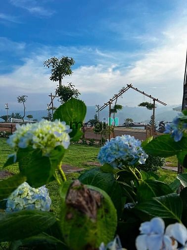 Hình ảnh Mua đất tặng ngay hợp đồng thuê 3 năm - sinh lợi ngay