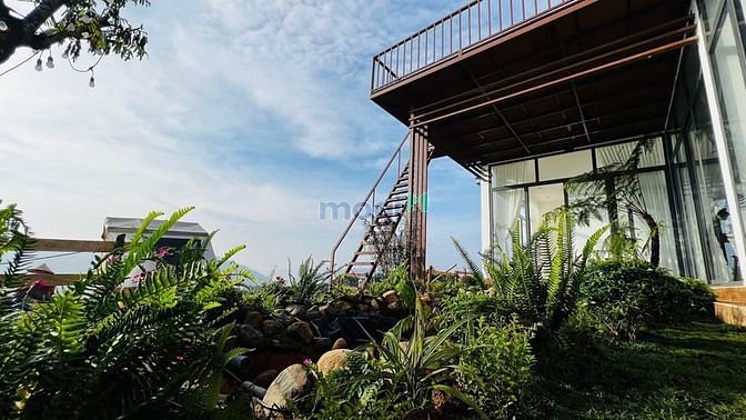 Hình ảnh Mua đất tặng ngay hợp đồng thuê 3 năm - sinh lợi ngay