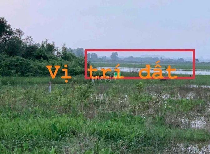 Hình ảnh BÁN 2374m2 đất vườn Thái Mỹ giá 1,3 tỷ ( giá 100%). Bán đất Củ Chi