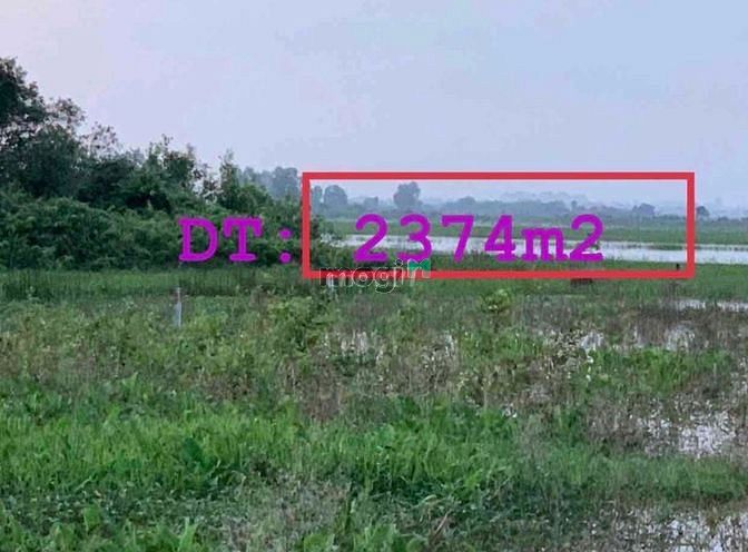 Hình ảnh BÁN 2374m2 đất vườn Thái Mỹ giá 1,3 tỷ ( giá 100%). Bán đất Củ Chi