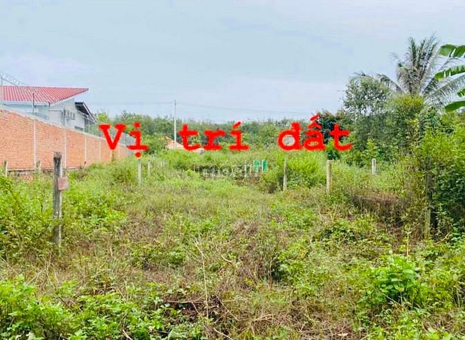 Hình ảnh 115m2 đất THỔ CƯ, Phú Hoà Đông, 700 triệu (100%). Bán đất Củ Chi