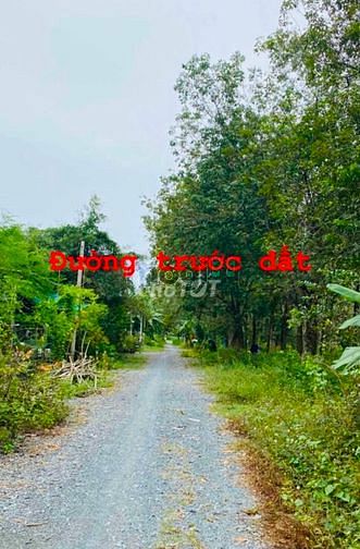 Hình ảnh 115m2 đất THỔ CƯ, Phú Hoà Đông, 700 triệu (100%). Bán đất Củ Chi