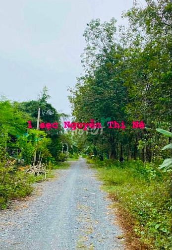 Hình ảnh 115m2 đất THỔ CƯ, Phú Hoà Đông, 700 triệu (100%). Bán đất Củ Chi