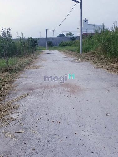 Hình ảnh Chủ Fan của Messi nên cần ra nền gấp