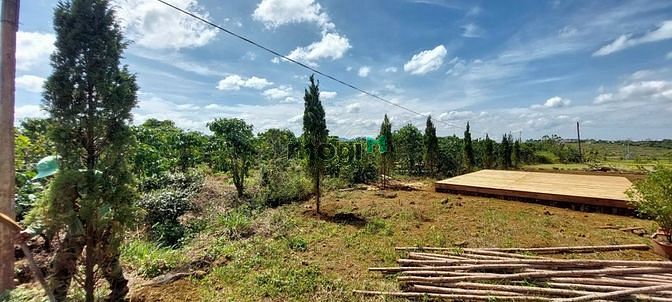 Hình ảnh Bán gấp đất view hồ cạnh đồi chè xanh biếc, sổ sẵn, giá tốt TP.Bảo