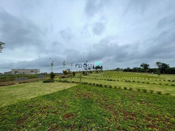 Hình ảnh Bán gấp đất view hồ cạnh đồi chè xanh biếc, sổ sẵn, giá tốt TP.Bảo