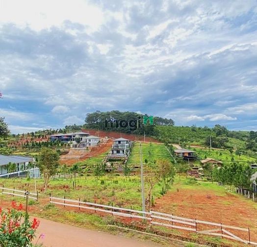 Hình ảnh Bán gấp đất view hồ cạnh đồi chè xanh biếc, sổ sẵn, giá tốt TP.Bảo