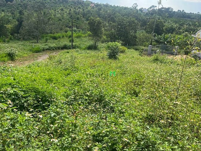 Hình ảnh Đất 3 mặt tiền Lộc An, khu biệt thự 621m2