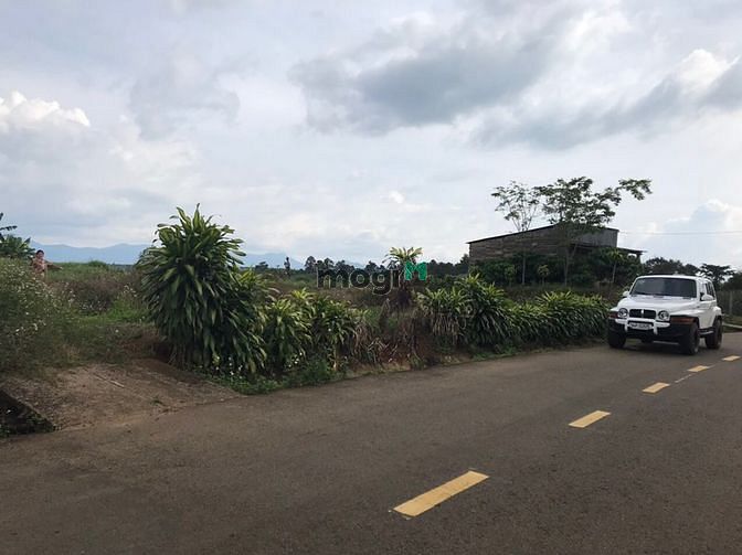 Hình ảnh Đất 1,7 sào Mặt tiền Hoà Ninh, giáp Lộc An
