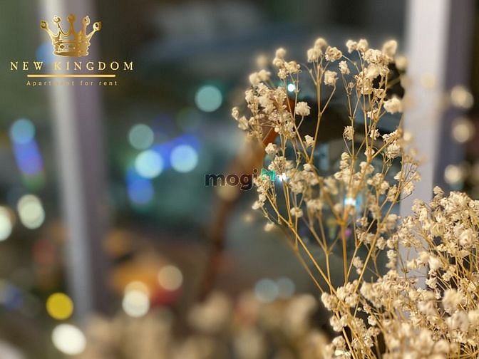Hình ảnh Phòng cho thuê đường Bạch Đằng, Quận Tân Bình, rộng đến 45m2