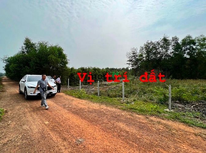 Hình ảnh Bán đất củ Chi 1000m2 đất vườn TRUNG LẬP THƯỢNG, giá 1,2 tỷ ( Đô 29/11