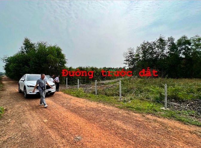 Hình ảnh Bán đất củ Chi 1000m2 đất vườn TRUNG LẬP THƯỢNG, giá 1,2 tỷ ( Đô 29/11