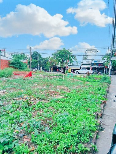 Hình ảnh Hàng hiếm đang ngộp cần bán gấp tại Dĩ An, Binh Dương