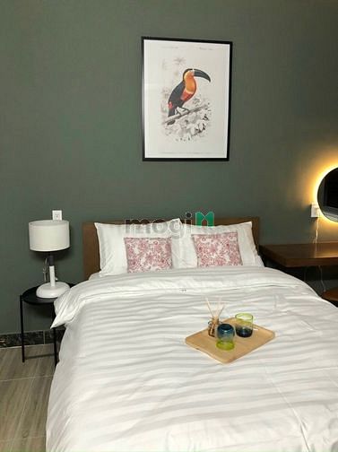 Hình ảnh 🌈🌈 Studio Mới Full NT - Cửa Sổ Lớn - Thoáng Mát - Gần Bx Miền Đông