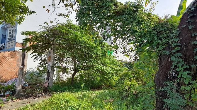 Hình ảnh Cần Bán Lô Đất đường 16m Phạm Hữu Lầu,P.Phú Mỹ Quận 7.Giá 12 tỷ 200