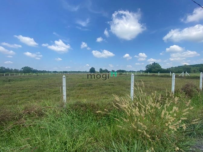 Hình ảnh Chỉ 27 tỷ - 6170m2 - phú hòa đông - củ chi - thổ cư 4000m2 - thích