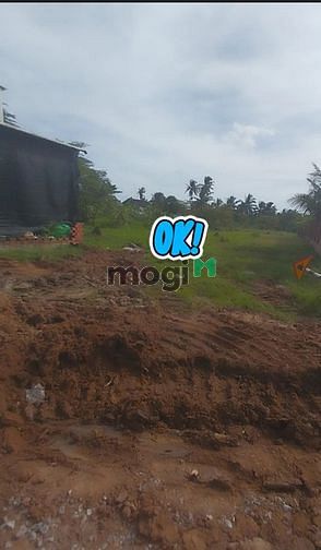 Hình ảnh Bán đất thổ cư, mặt tiền QL1A Châu Thành Tiền Giang