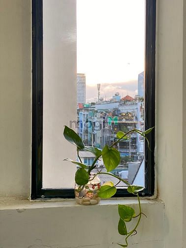 Hình ảnh HiFriendz thông báo dự án studio ban công