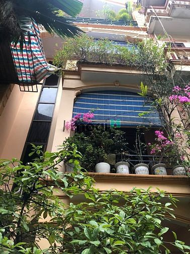 Hình ảnh Hoàng Văn Thái. Biệt thự 135m2 x 4T. Đất phân lô. Giá chỉ 20 tỷ.