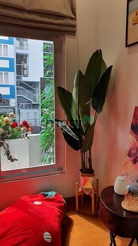 Hình ảnh Siêu phẩm! HXH Trần Quang Diệu, P14, Q3 (DT: 5x20m), 3 tầng,