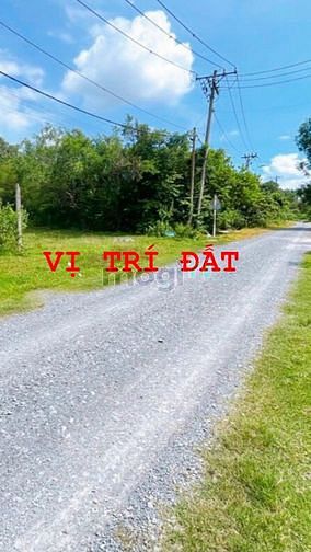 Hình ảnh Bán đất Củ Chi, 340m2 đất FULL THỔ CƯ, giá 1,5 tỷ. (72h)