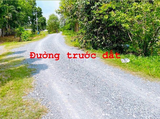 Hình ảnh Bán đất Củ Chi, 340m2 đất FULL THỔ CƯ, giá 1,5 tỷ. (72h)
