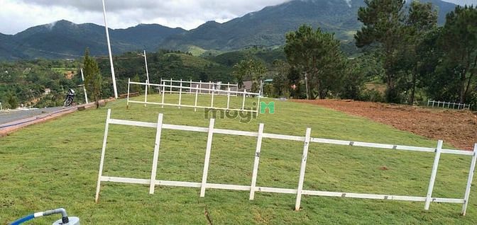 Hình ảnh bán đất xã lộc nam ,đối diện quán cà phê ,view đồi có sẵn sổ