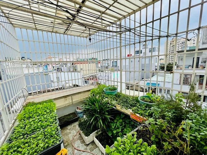 Hình ảnh Siêu phẩm giá rẻ tại Thống Nhất, Gò Vấp