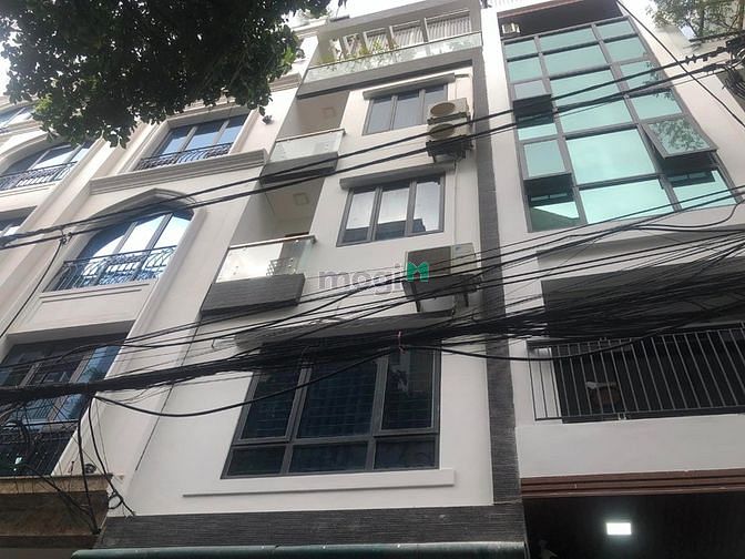 Hình ảnh Mạc Thái Tổ, Cấu Giấy. 50m2, MT 4,5m. Đất phân lô, ô tô tránh.