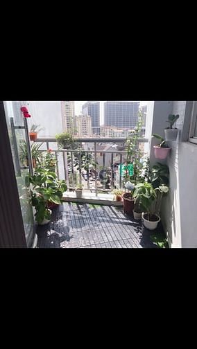 Hình ảnh Bán CHCC CT5 KĐT Mễ Trì Thượng _ Nam Từ Liêm .