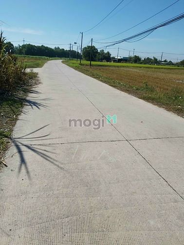 Hình ảnh Bán đất Củ Chi, 1240m2 đất vườn Củ Chi, giá 1,3 tỷ (Đo 2/12)