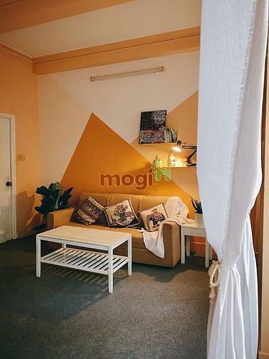 Hình ảnh Siêu Hiếm!!! Căn Hộ Phong Cách Vintage Trần Quốc Thảo Quận 3
