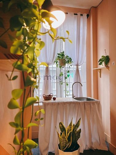 Hình ảnh Siêu Hiếm!!! Căn Hộ Phong Cách Vintage Trần Quốc Thảo Quận 3
