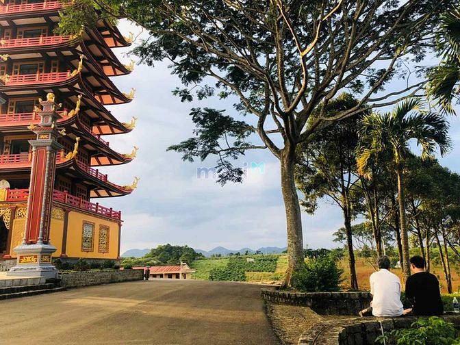 Hình ảnh Cần bán đất nền view đồi chè giá 900 triệu full thổ