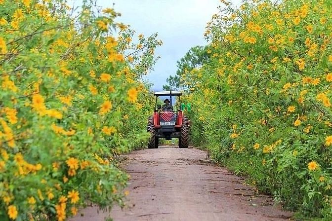 Hình ảnh Cần bán đất nền view đồi chè giá 900 triệu full thổ