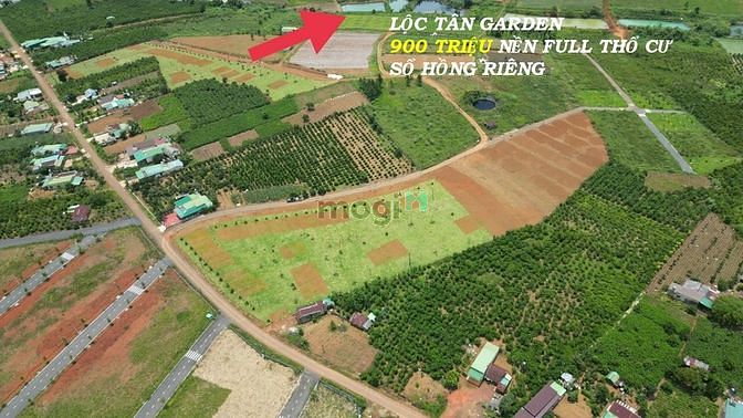Hình ảnh Cần bán đất nền view đồi chè giá 900 triệu full thổ