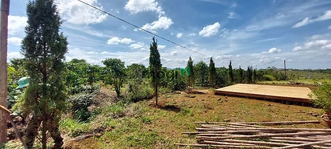 Hình ảnh Cần bán đất nền view đồi chè giá 900 triệu full thổ