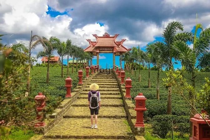 Hình ảnh Cần bán đất nền view đồi chè giá 900 triệu full thổ