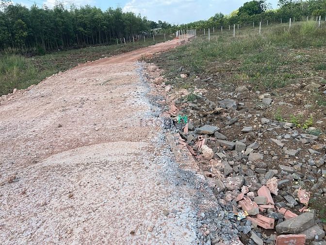 Hình ảnh Bán hơn 1sào3 đất vườn cây ăn trái